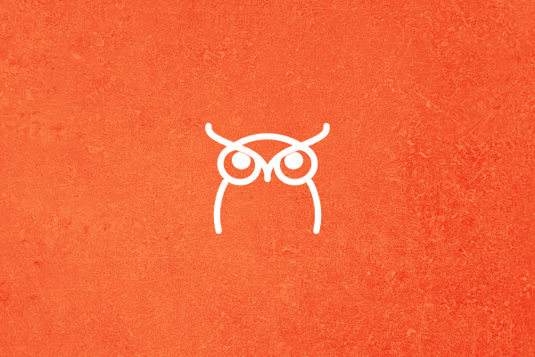 Отвечает аудитор